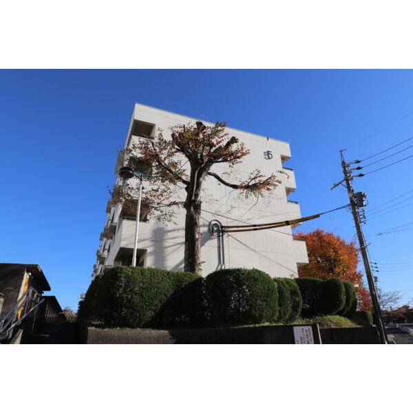 丸山5棟