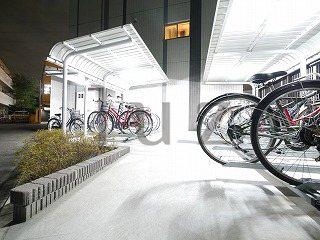 ライムグリーン