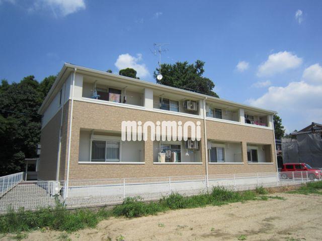 メープルリーフ