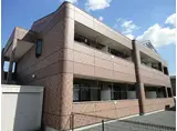 シャロン