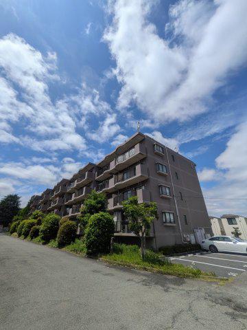 フィール野川(2LDK/3階)