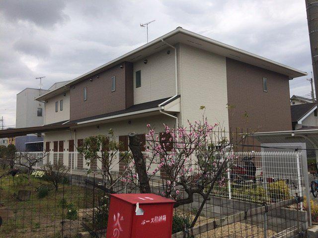 マイルド マメゾン