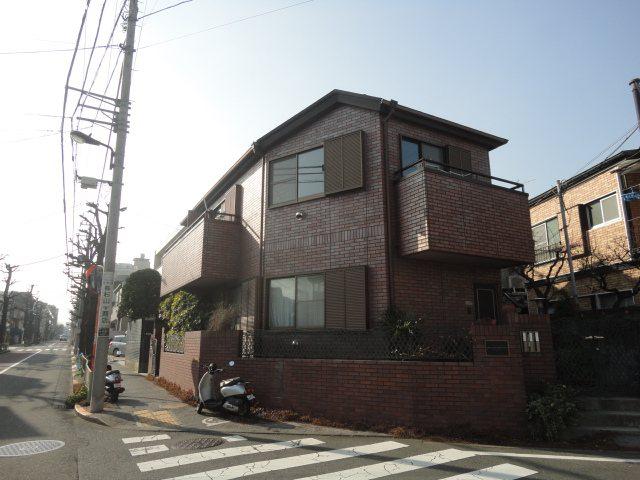 C・N・シェールオルキデ
