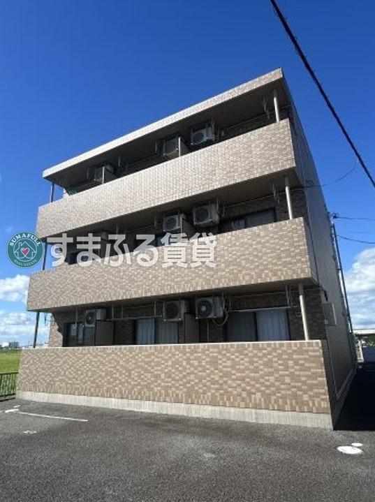 ロイヤルサルビア