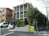 エンゼル蟹原