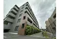 アクシスソメイ