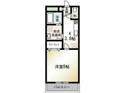 IL COMPAGNOI(1K/1階)の間取り写真