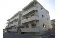ブエナカーサ初生