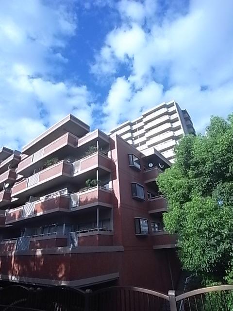 エバーグリーンポートアイランド