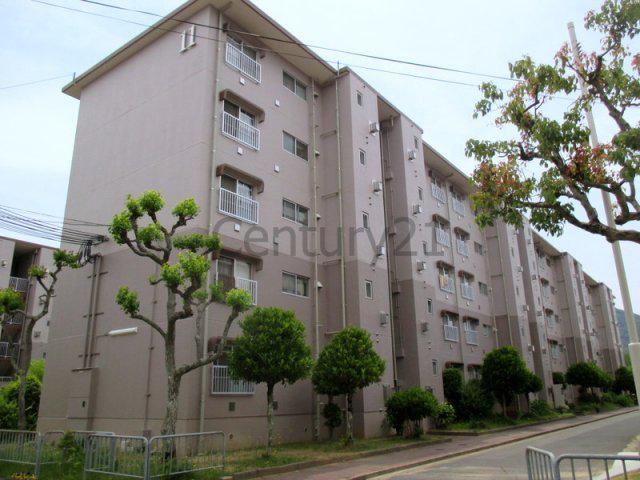 兵庫県川西市  築52年(4DK/1階)