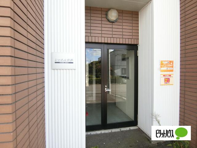 シャネル中井