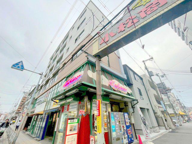 カーサ・ヴェルデ・橋
