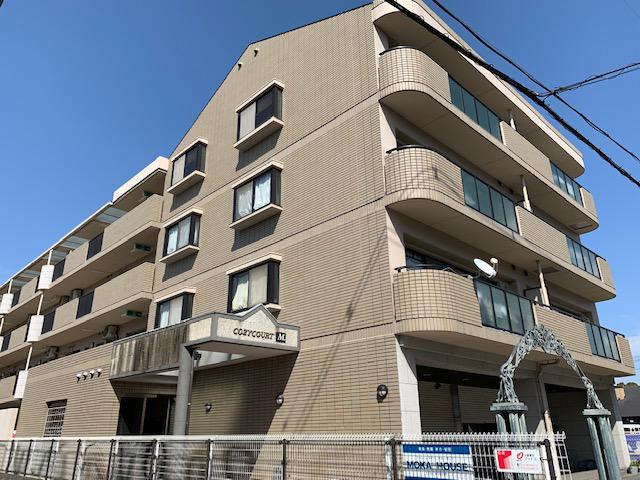 コージーコートM