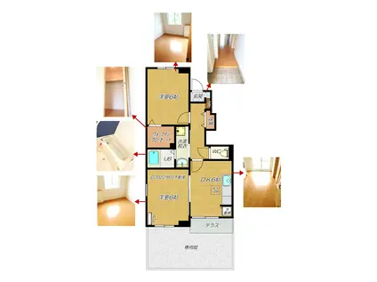 サンファミールIII(2DK/1階)の間取り写真