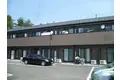 アンプルールフェールクリザンテム