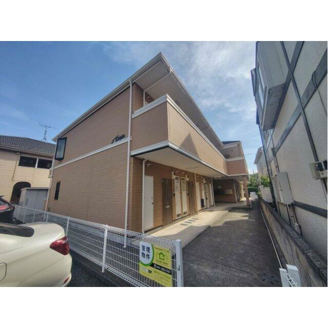 チェリー常盤平
