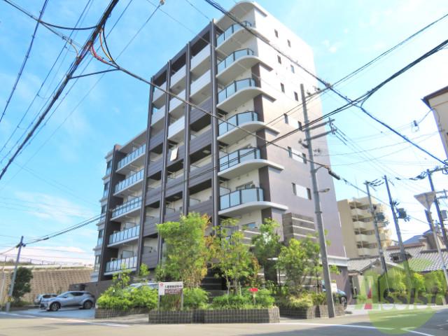 幸 COURT TSUKAMOTO