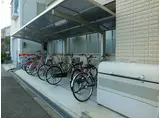 リベラ藤原