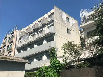 エントピア鴨池V(ワンルーム/4階)の外観写真