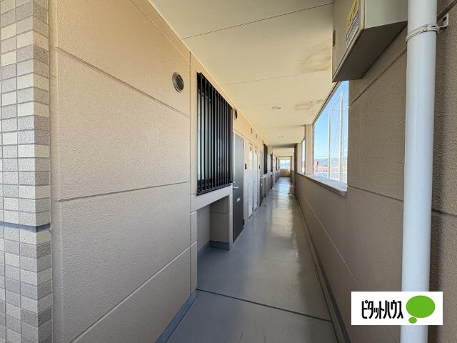 ＪＲ和歌山線 岩出駅 徒歩25分 2階建 築17年