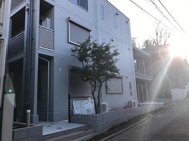 サザンフォレスト