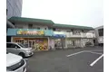 アベニューウズラ