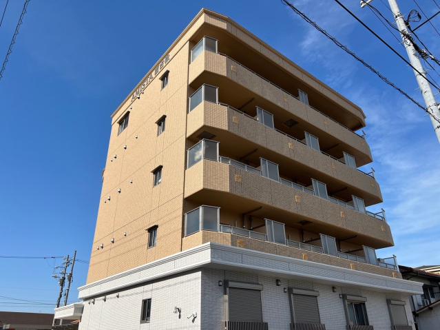 AMISTA西古松