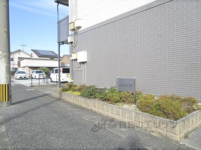 コンフォールM