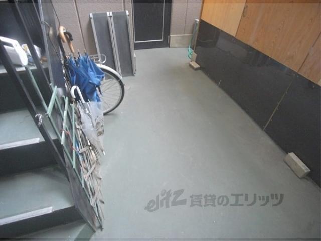 パープルバンブー