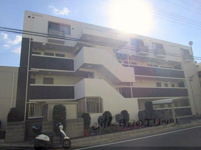 LA LUCE