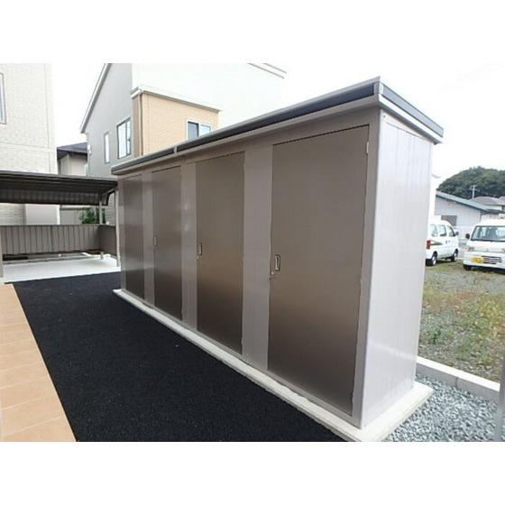 サンフラワー