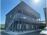 SUNNY FOREST GI