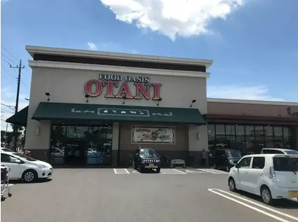 D-ROOM ディーカストル B棟302(2LDK/3階)の周辺写真