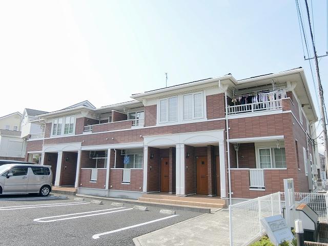 プラシードS