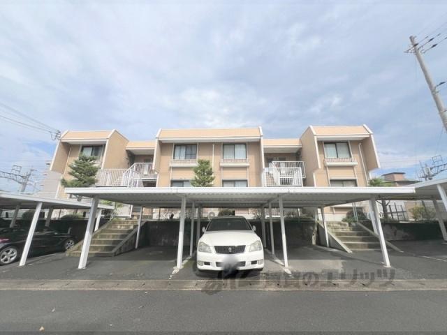 パレーシャル柳田