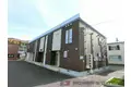 クリサンセマム
