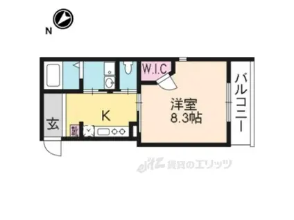 セーイ・サーリチェ(1K/3階)の間取り写真