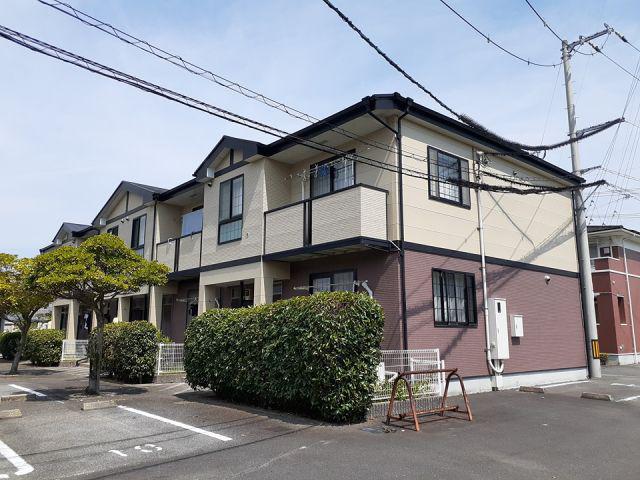 プリムローズ