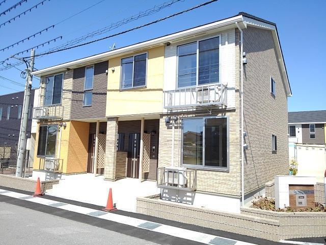 シェーナ アン