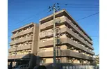 アイーラ渡辺