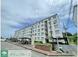 ハイネス入間ガーデニア 3
