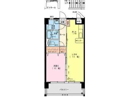 ティープリモ権現町(1LDK/1階)の間取り写真