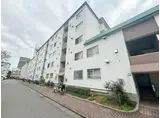 緑橋コーポ2号棟