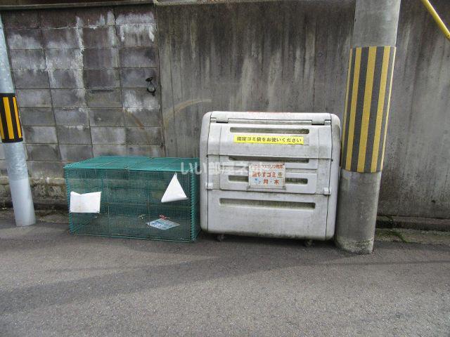 バウハウス プリマ