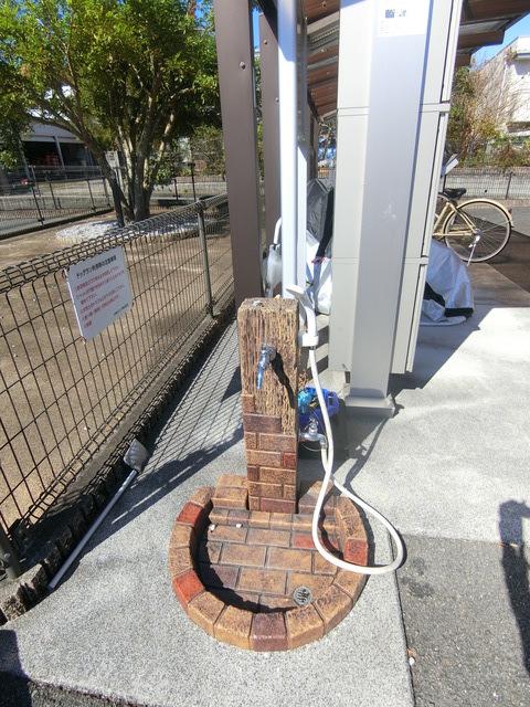 セジュールウィット