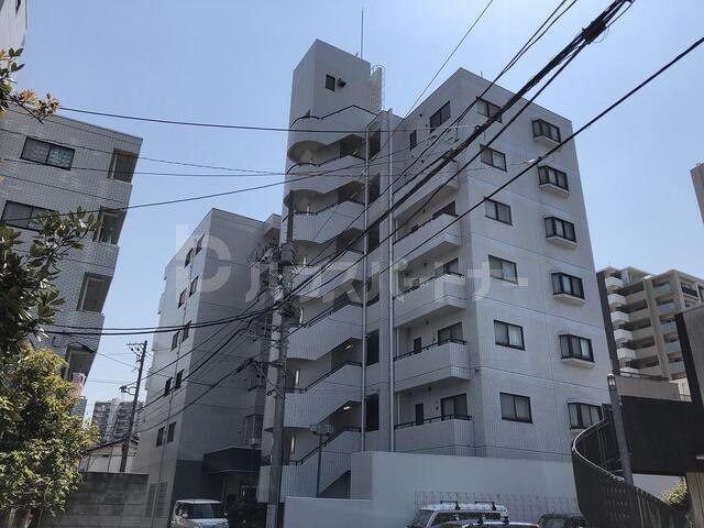 R FIELDS MATSUDO