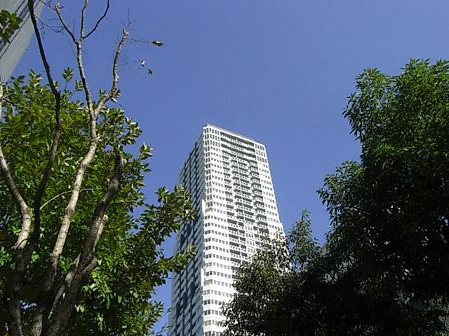 Dグラフォート大阪NYタワ-HIGOBASHI1205