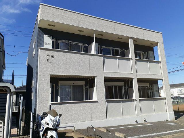 プラシード