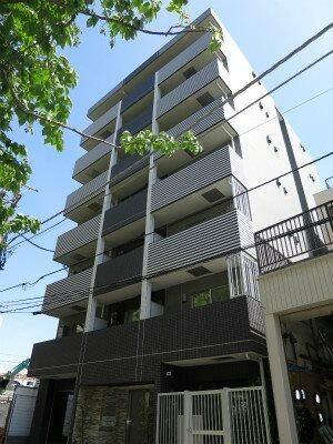 HYS YOKOHAMA LIGARE