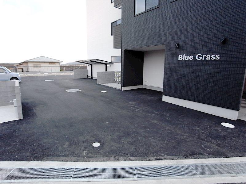 BLUE GRASS